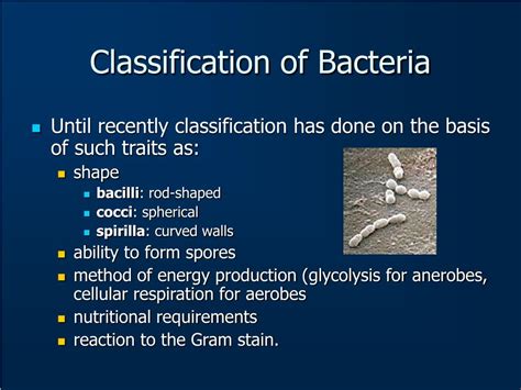 Ppt Bacterial Diseases Powerpoint Presentation Free Download Id202479