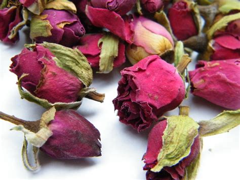 We did not find results for: Dried rose buds dark pink, bulk packs - Dried flowers