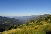 Mountainbike: Val Colla Tour - 4:30 h - 27 km - Bergwelten
