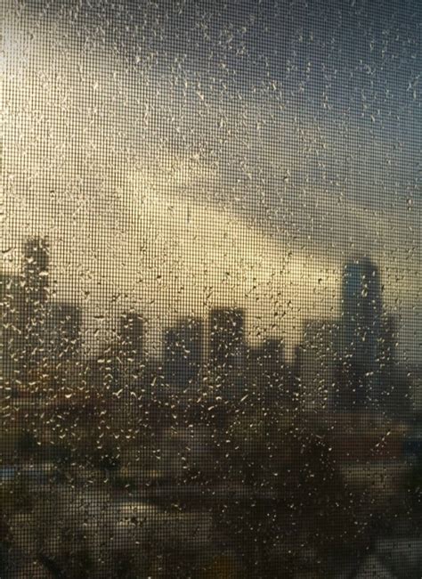 Download Seattle Rain On Textured Glass Wallpaper
