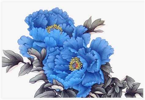 Peony 14171417 Transprent Png Free Download Blue Peonies Flowers Png