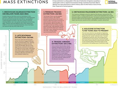 Mass Extinctions National Geographic Society