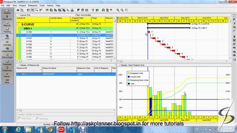 s curves made easy in primavera p6