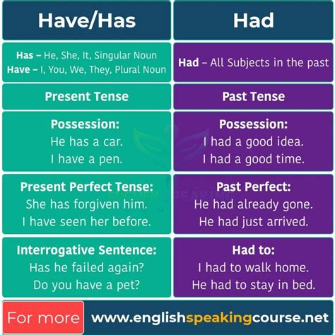 Have Has Had Basic English Grammar Grammar