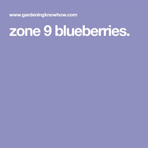 Blueberry Bushes For Zone 9 Growing Blueberries In Zone 9 Growing