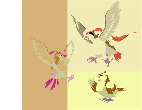 Kanto Pidgey And Evolutions By Duskballs On Deviantart