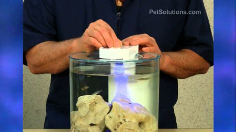 Petsolutions Marina 360 2 Gallon Aquarium Kit Youtube