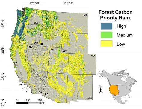 Pacific Northwest Forests Fit Trifecta For Curbing Climate Change — If