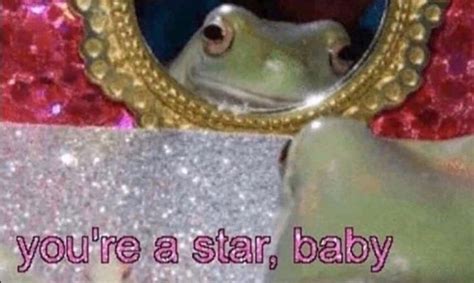 Youre A Star Baby Frog Frog Pictures Memes