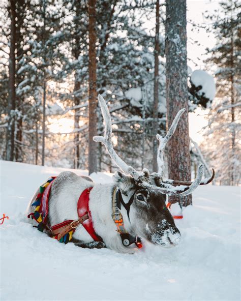 Lapland Finland Travel Guide Artofit