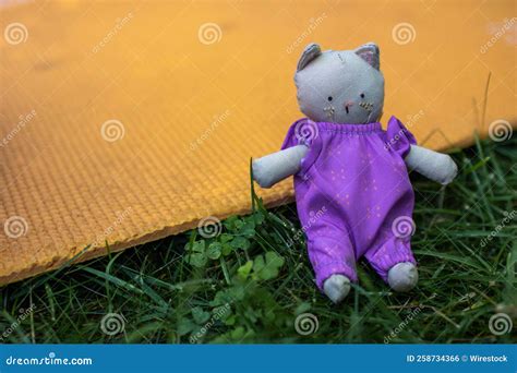 Cat Doll On Grass And Yellow Ground Stock Photo Image Of Ground
