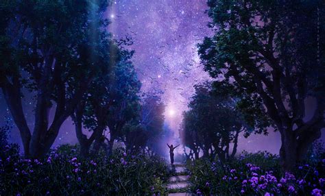 Wallpaper Forest Starry Sky Art Purple Fabulous Hd Widescreen
