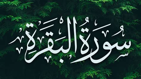 Pelancarrezeki#albaqarah keutamaan membaca dua ayat terakhir surat al baqarah pada waktu malam siapa yang membaca. KELEBIHAN MEMBACA DUA AYAT TERAKHIR SURAH AL-BAQARAH ...