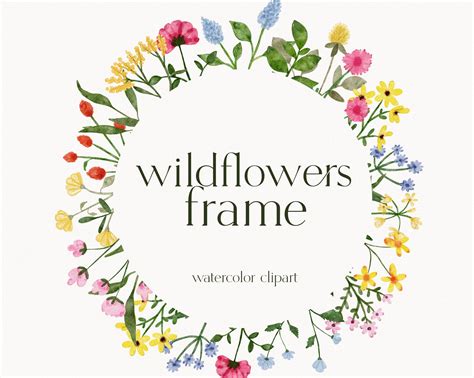 Wildflower Wreath Clipart Wild Flower Frame Meadow Etsy