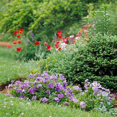 Use Evergreens To Make An Impact In Your Landscape Better Homes And Gardens