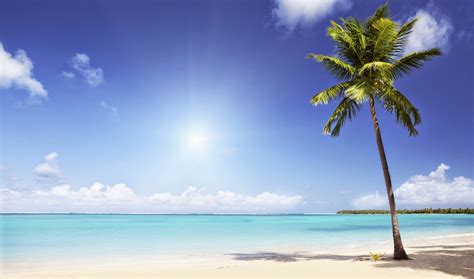 Las 5 Mejores Playas De Republica Dominicana Playas De Republica
