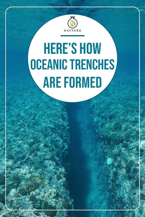 Heres How Oceanic Trenches Are Formed Nayturr