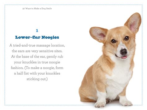 97 Ways To Make A Dog Smile Workman Publishing
