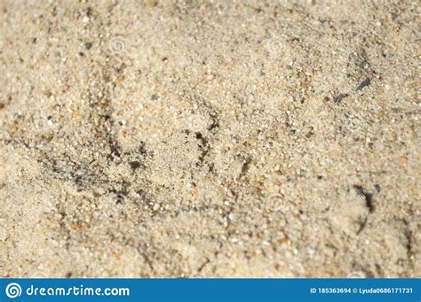 Sandy Background Stock Photo Image Of Resort Nature 185363694