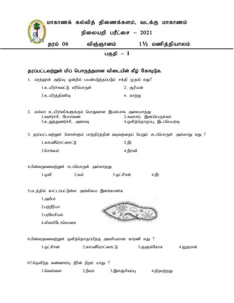 Grade 6 Science Exam Papers Tamil Medium Exam Papers English Exam
