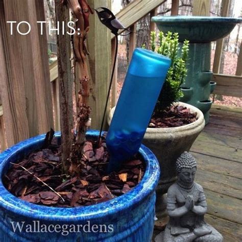 How To Turn A Wine Bottle Into A Self Watering Device Container