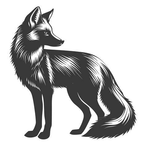 AI generated Silhouette red fox animal black color only full body