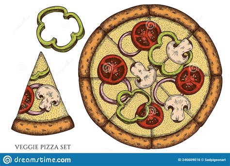 Pizza Hand Drawn Vector Illustrations Collection Colored Veggie Pizza