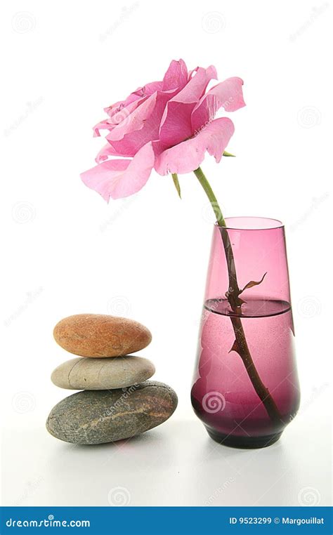 Zen Atmosphere Vase And Rose Royalty Free Stock Images Image 9523299