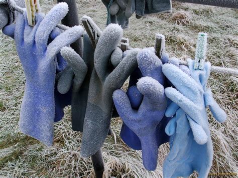 Frozen Fingers 1 Lars Odemark Flickr