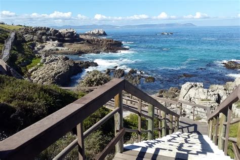 The 30 Best Things To Do In Hermanus Right Now