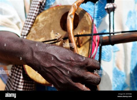 Traditional West African String Instrument Goge Or Imzad Played Like A