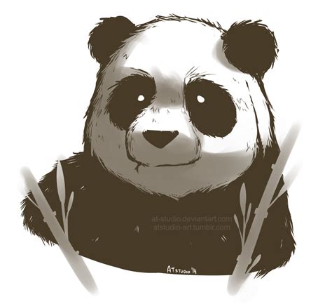 Panda Sketch By At Studio On Deviantart