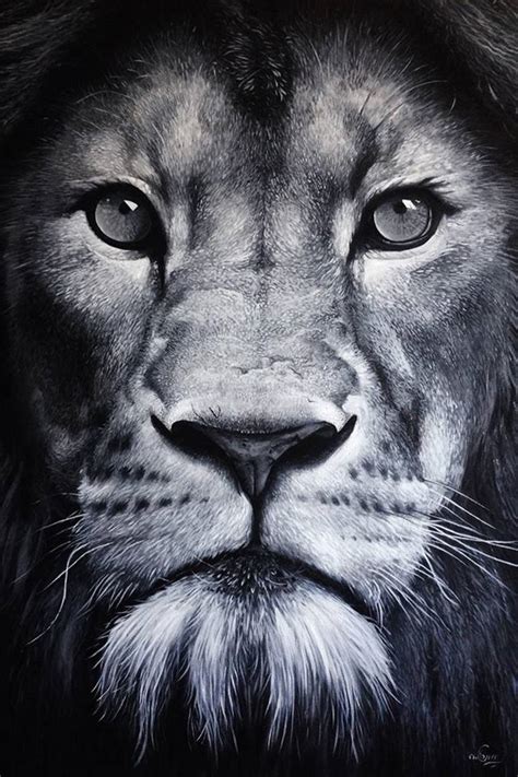 Unique Lion Face Black And White Photo Quotes About Love