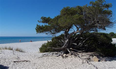 10 Top Secluded Beaches In Italy Bidderosa Beach Sardinia
