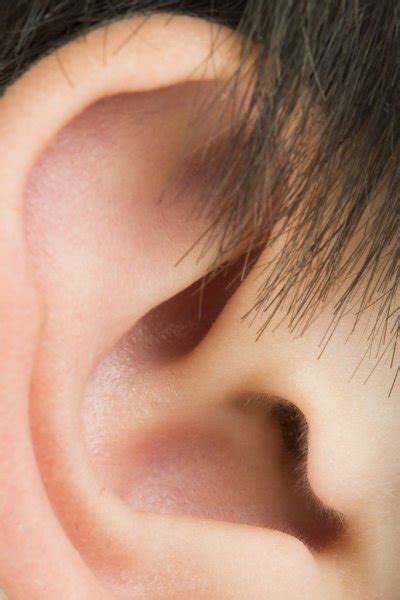 Human Ear Stock Image Everypixel