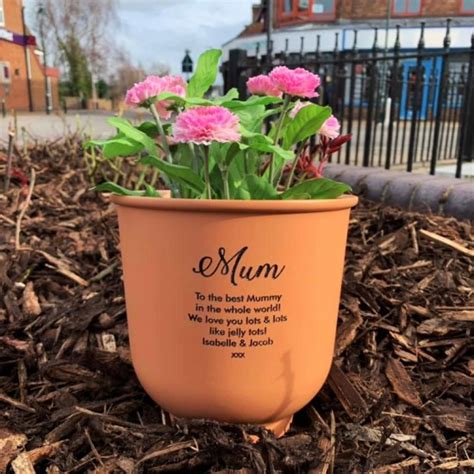 Personalised Flower Pot Perfect T For Mum And Nan