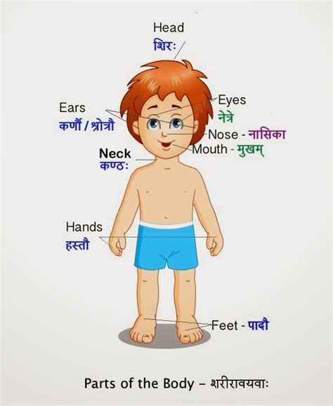 Learn 'parts of the body' in tamil. Sanskrit Beginners' Blog: Nov 23, 2014