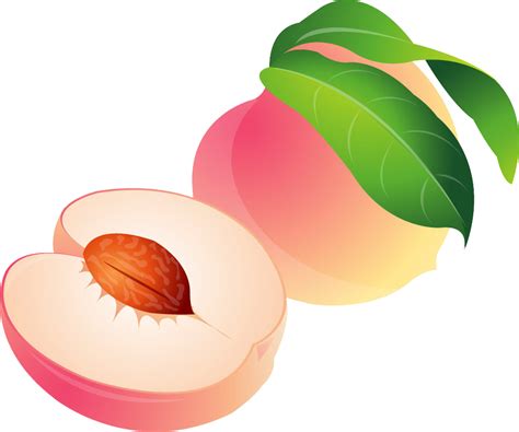 Download Download Peach Cartoon Png Peach Cartoon Png Clipart