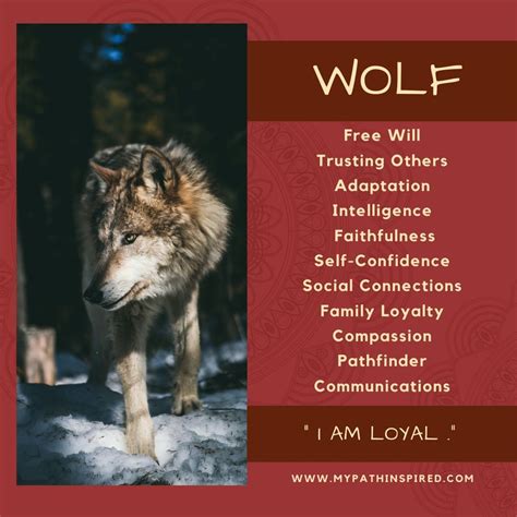 Wolf Spirit Animal | Wolf spirit animal, Spirit animal meaning, Animal spirit guides