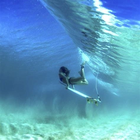 17 Best Images About Underwater Duck Surf Girls And Ducks