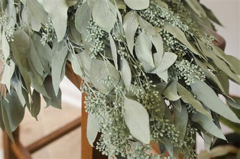 Preserved Dark Sage-Green Seeded Eucalyptus | The Blaithin Blair Shop