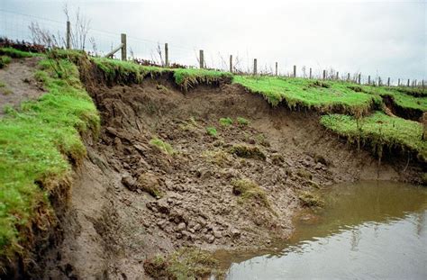 River Swale Bank Erosion