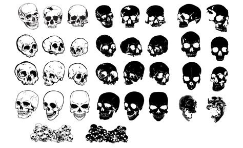 Skulls Vector Pack For Adobe Illustrator