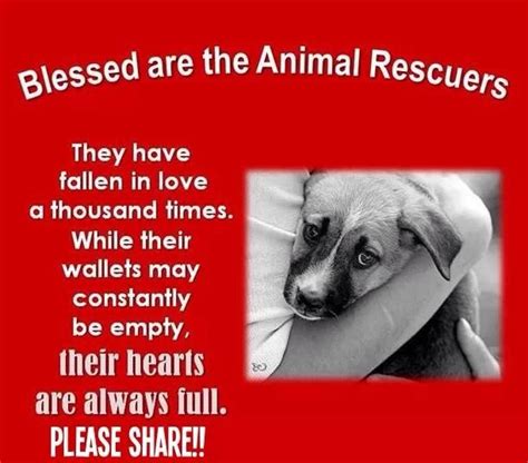 Blessed Are The Rescuers Graphic Pitbull Rescue Rescue Dogs Animal
