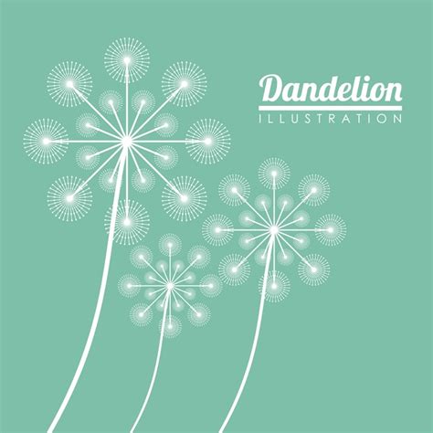 Premium Vector White Dandelion Icon