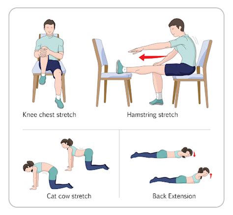 10 Degenerative Disc Disease Exercises You Can Try