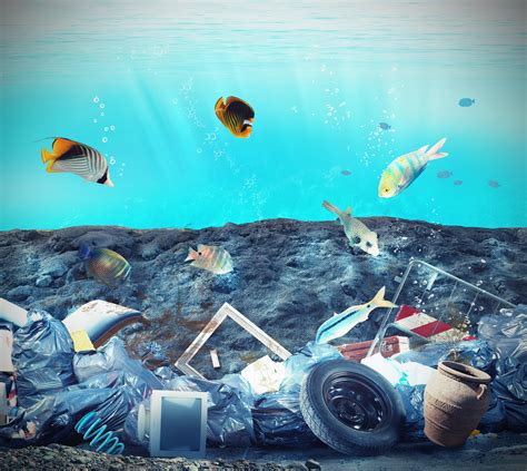 Closed Loop Partners Appoints Exec To Oversee Ocean Debris