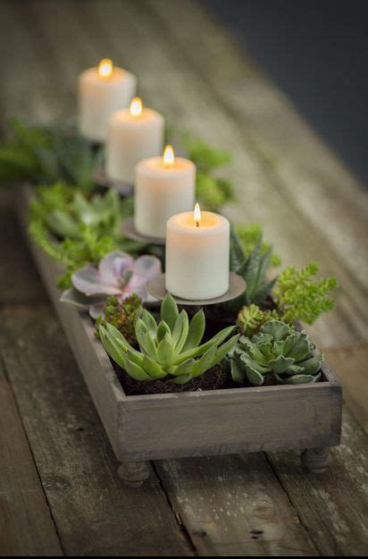 Beautiful Bridal 17 Stunning Succulent Wedding Centerpieces