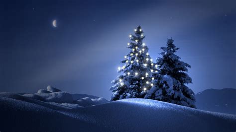 Clearly Christmas Tree At Night Wallpapers Hd Desktop