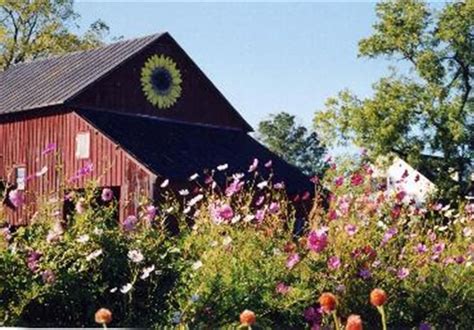 A Pick Your Own Flower Farm | Flower field, Flower farm, Lilies of the ...